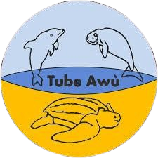 Partner Tubeawu