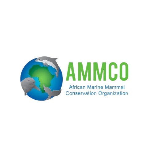 Partner AMMCO